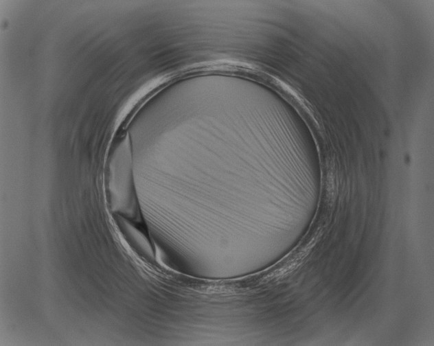 X0000081501418200702100044