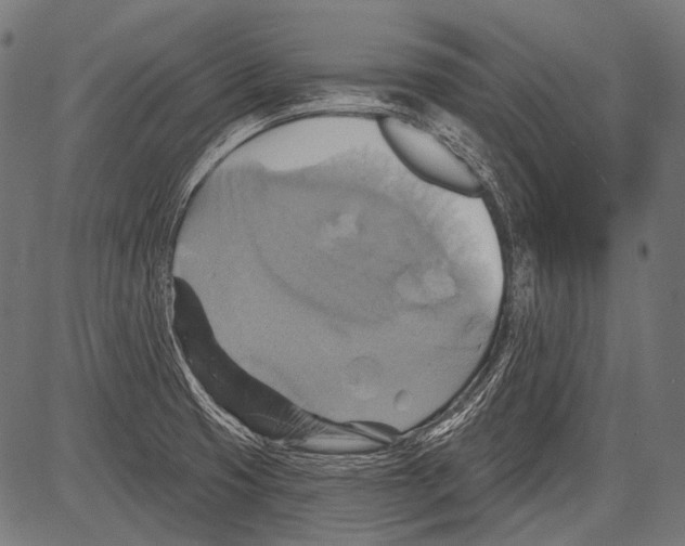 X0000081501425200702100044