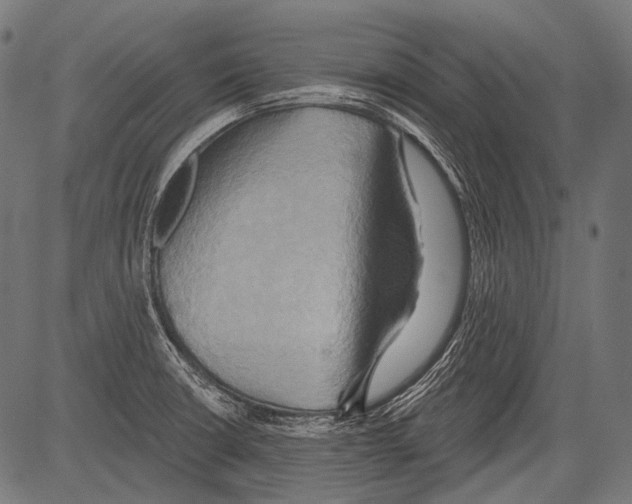 X0000081501426200702100044