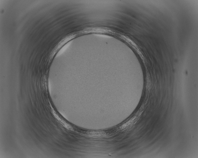 X0000081501433200702100044