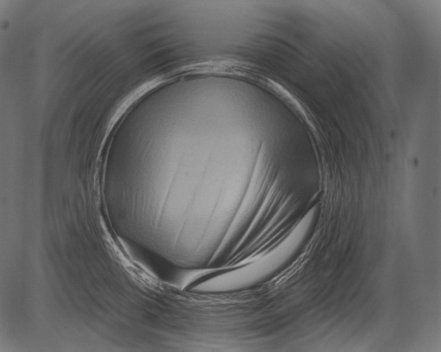 X0000081501434200702100044