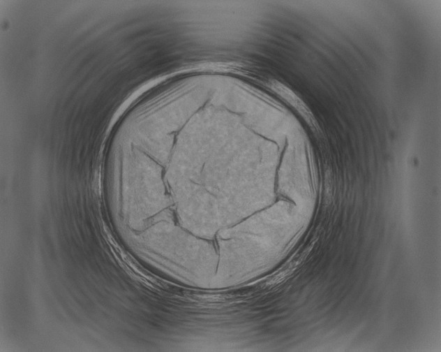 X0000081501436200702100044