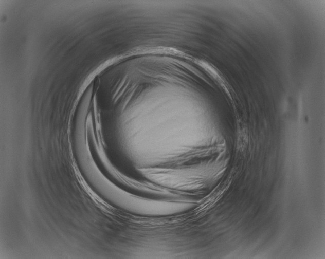 X0000081501438200702100044