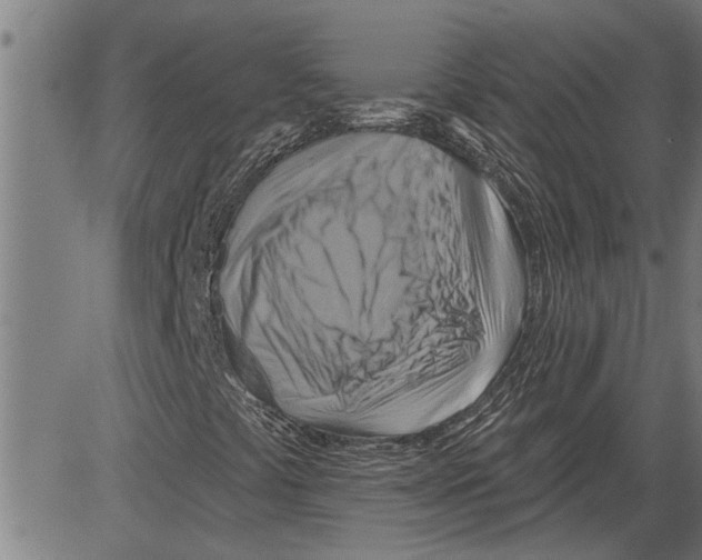 X0000081501441200702100044