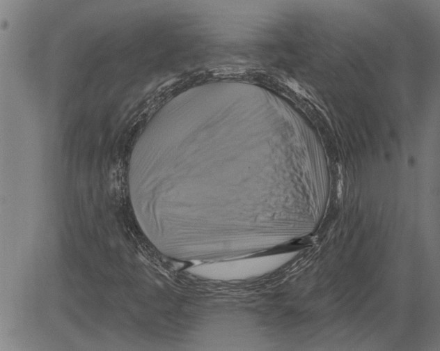 X0000081501445200702100044