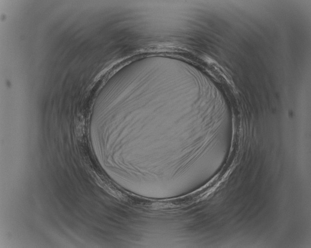 X0000081501449200702100044