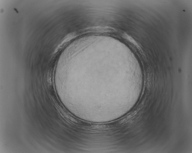 X0000081501451200702100043