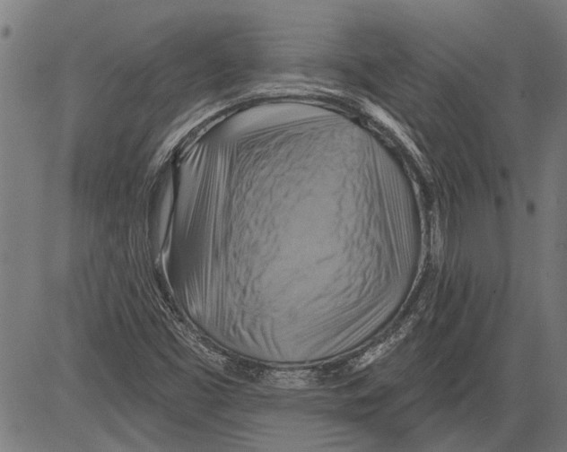 X0000081501453200702100043
