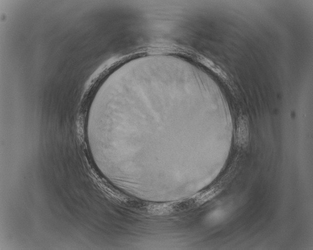 X0000081501454200702100043