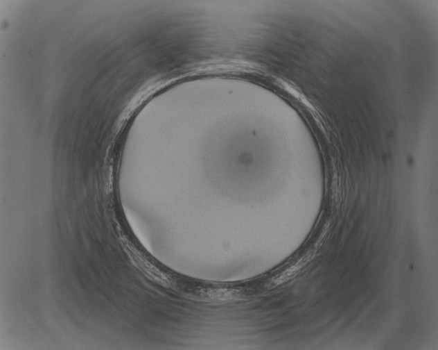 X0000081501459200702100043