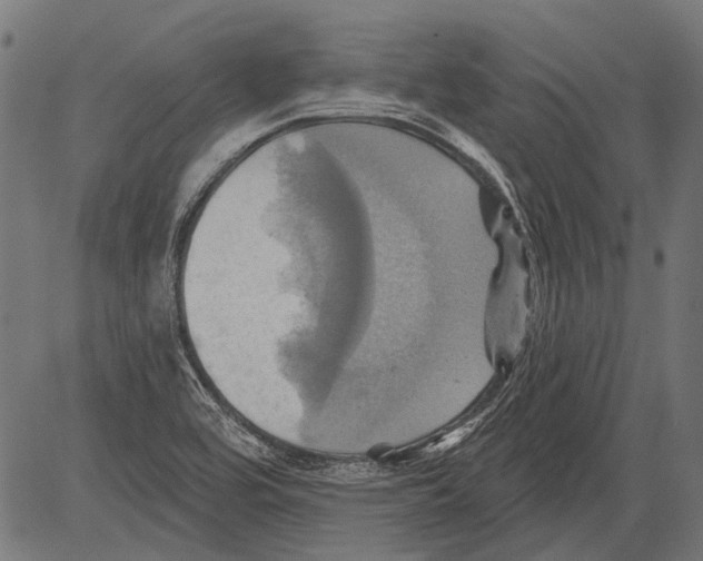 X0000081501464200702100043