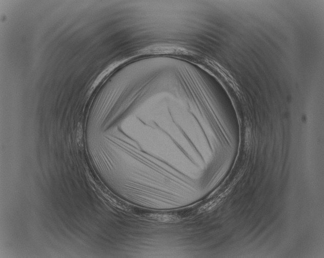 X0000081501465200702100043