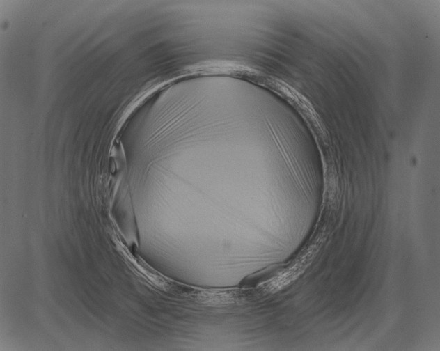 X0000081501473200702100043