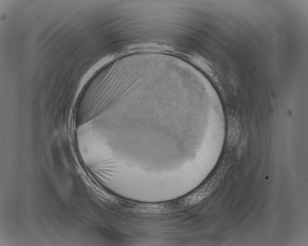 X0000081501474200702100043