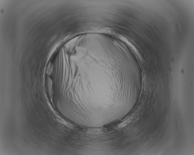 X0000081501477200702100043