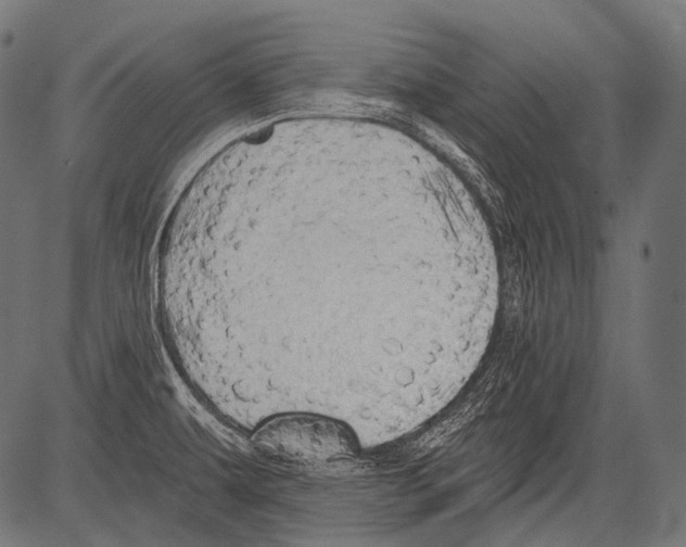X0000081501479200702100043