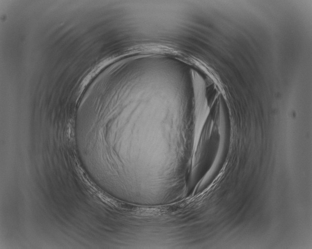 X0000081501481200702100043