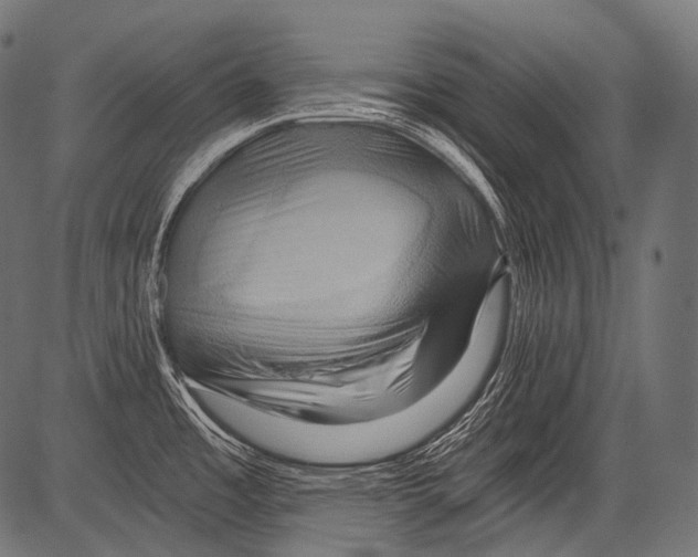 X0000081501485200702100043