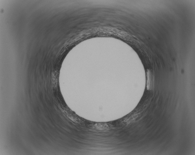 X0000081501491200702100042