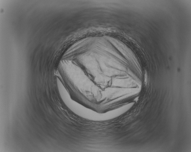 X0000081501492200702100042