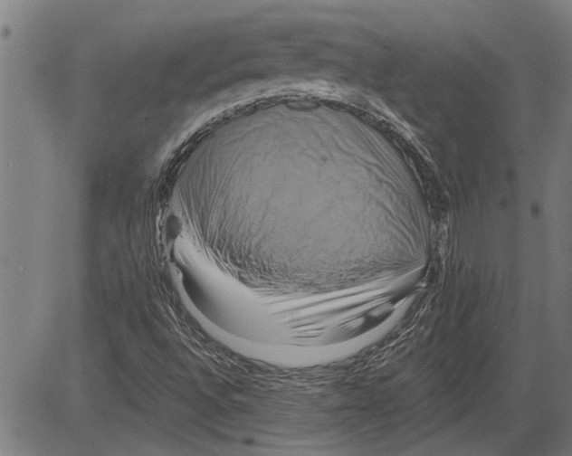 X0000081501496200702100042