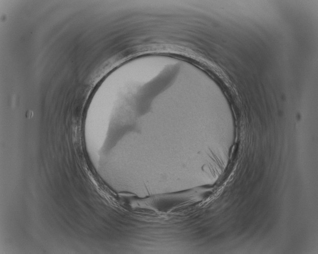 X0000081501513200702100042