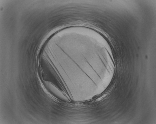 X0000081501515200702100043