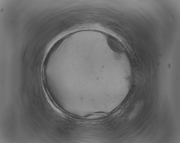 X0000081501519200702100043