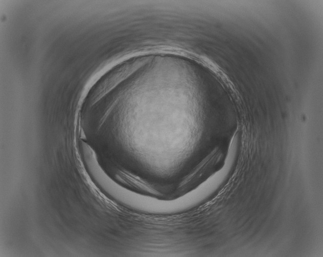 X0000081501520200702100043