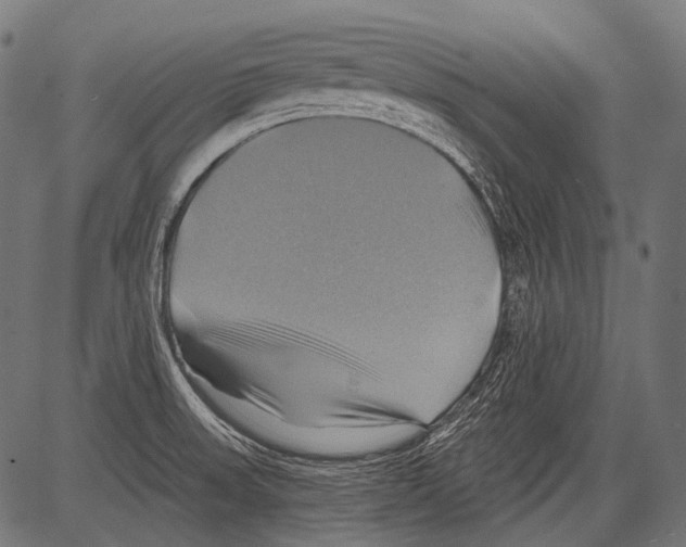 X0000081501523200702100043