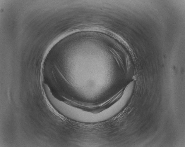 X0000081501528200702100043