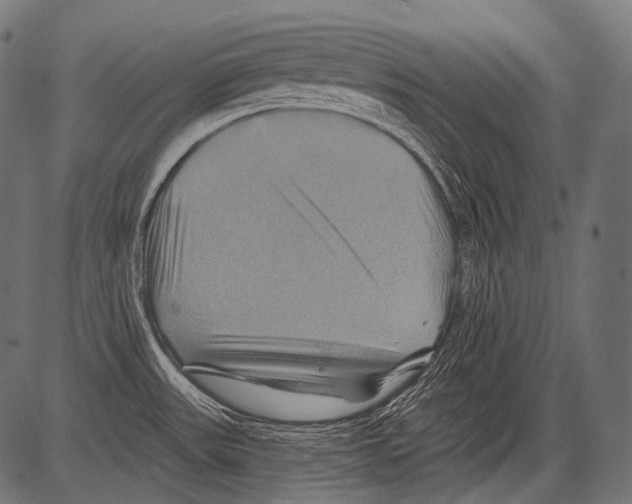 X0000081501531200702100043