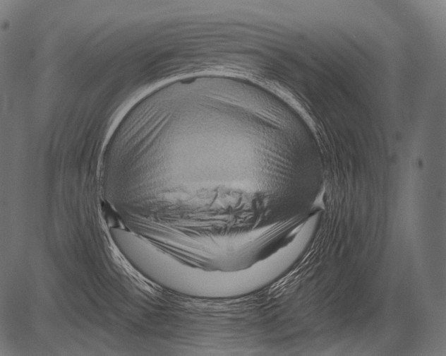 X0000081501532200702100043