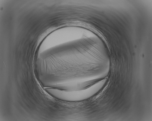 X0000081501533200702100043