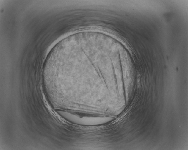 X0000081501534200702100043