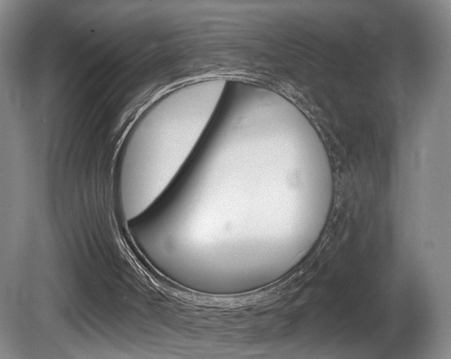 X0000081560002200701151012