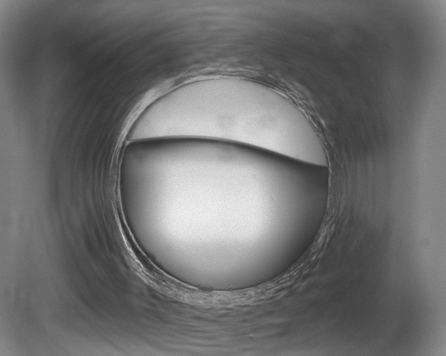 X0000081560003200701151012