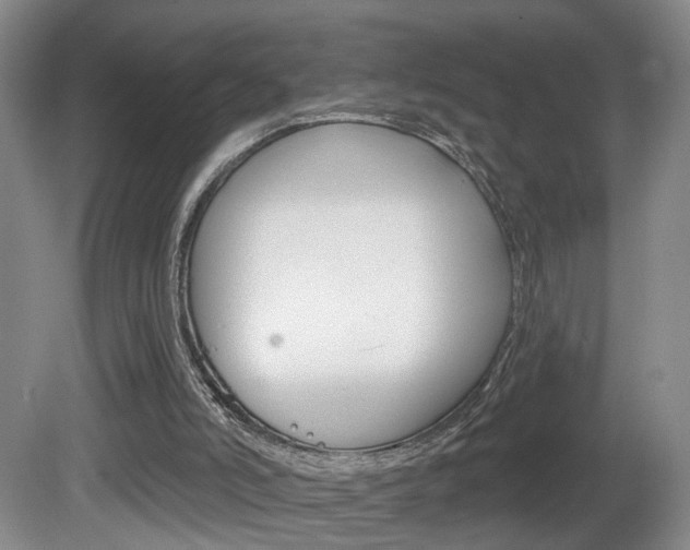 X0000081560006200701151012