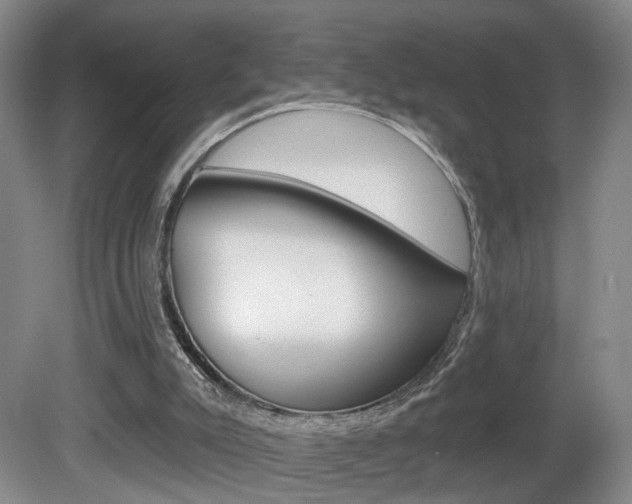 X0000081560007200701151012