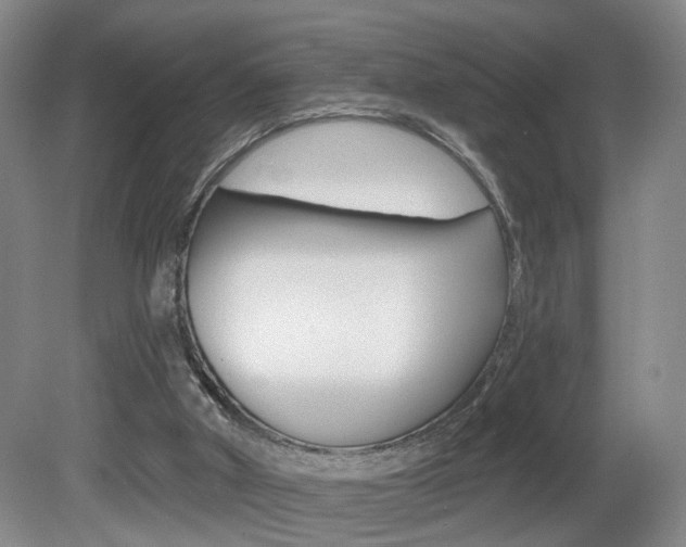 X0000081560010200701151012
