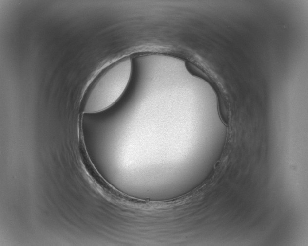 X0000081560011200701151012