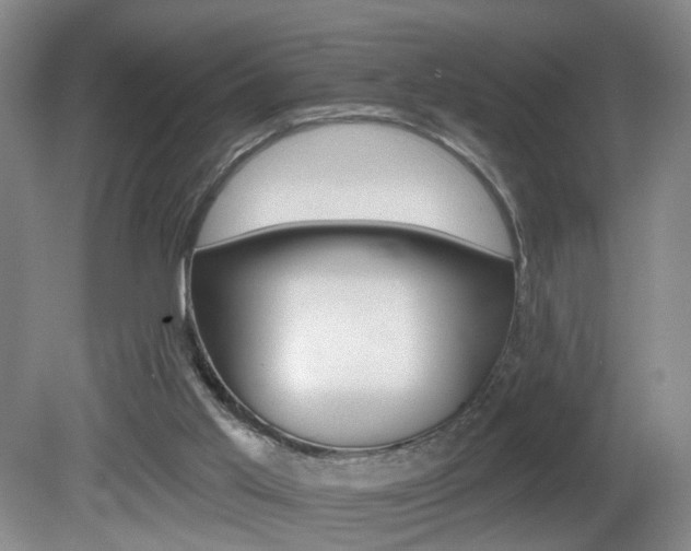 X0000081560013200701151011