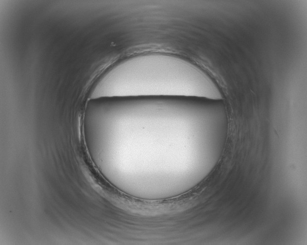 X0000081560014200701151011