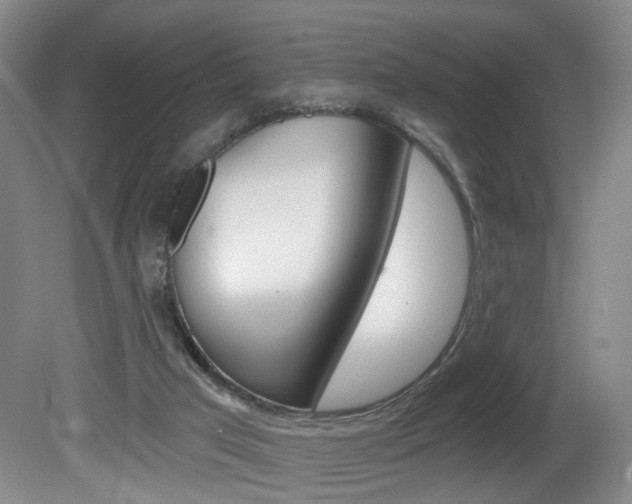 X0000081560017200701151011