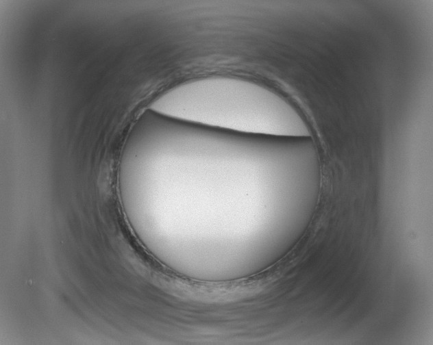 X0000081560018200701151011