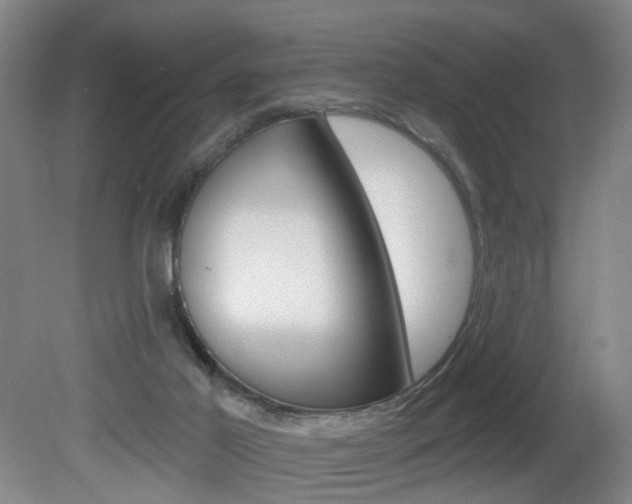 X0000081560021200701151011