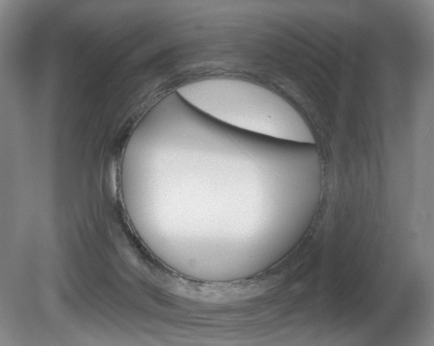 X0000081560022200701151011