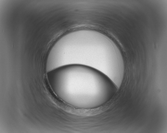 X0000081560023200701151011