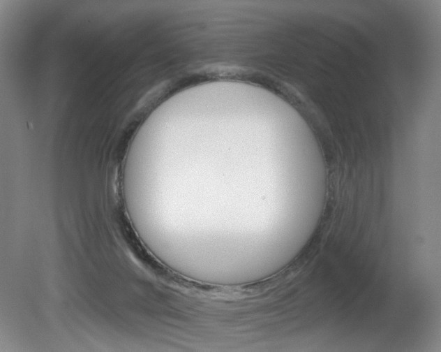 X0000081560024200701151011