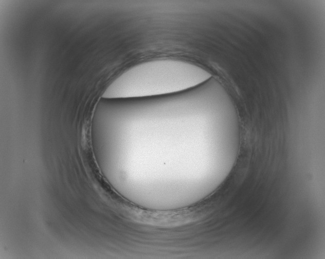 X0000081560026200701151011